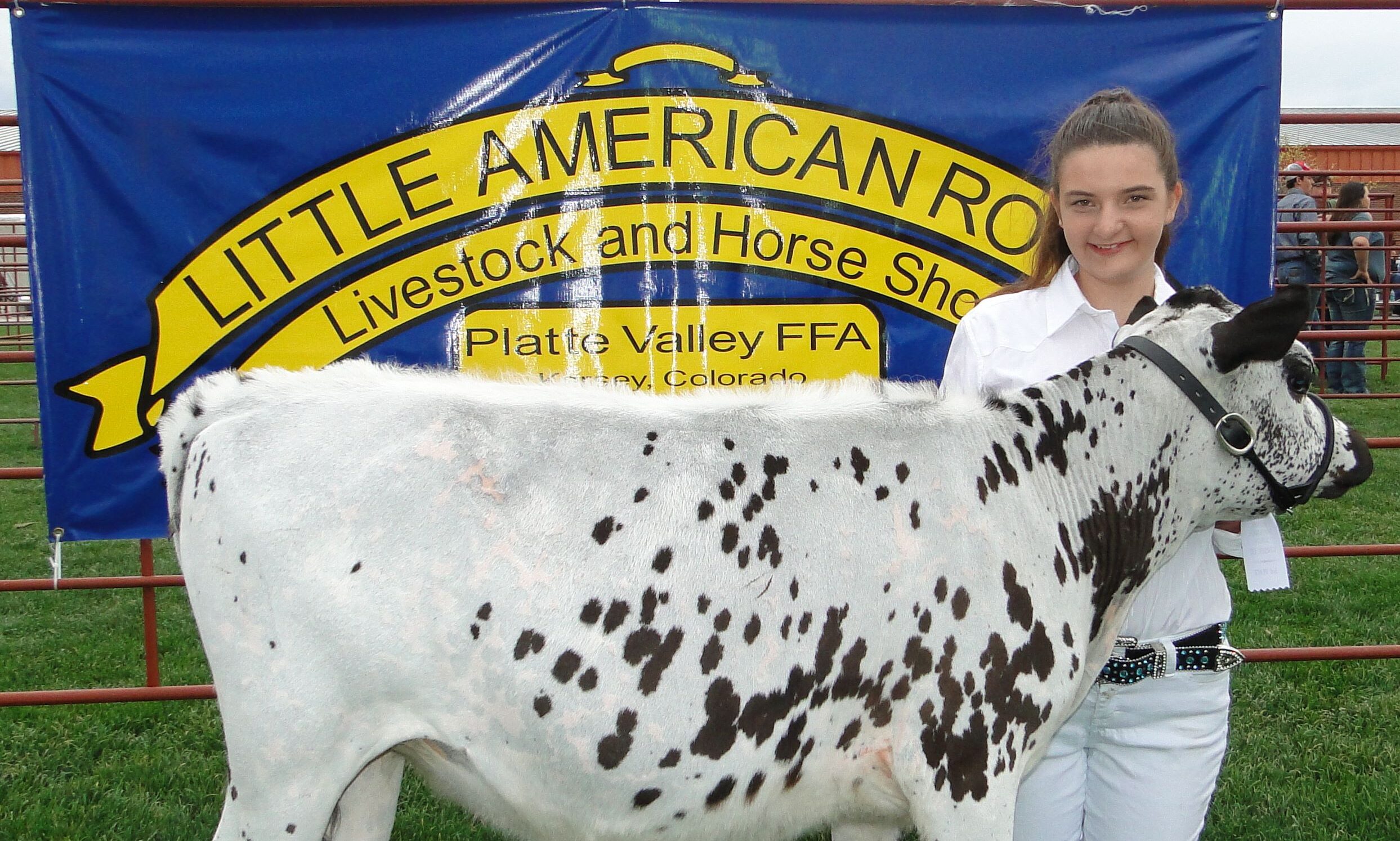 Little american royal