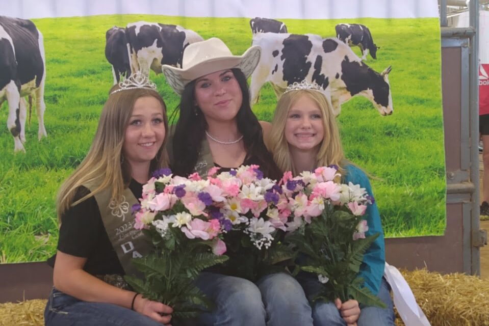 larimer county dairy royalty 2024